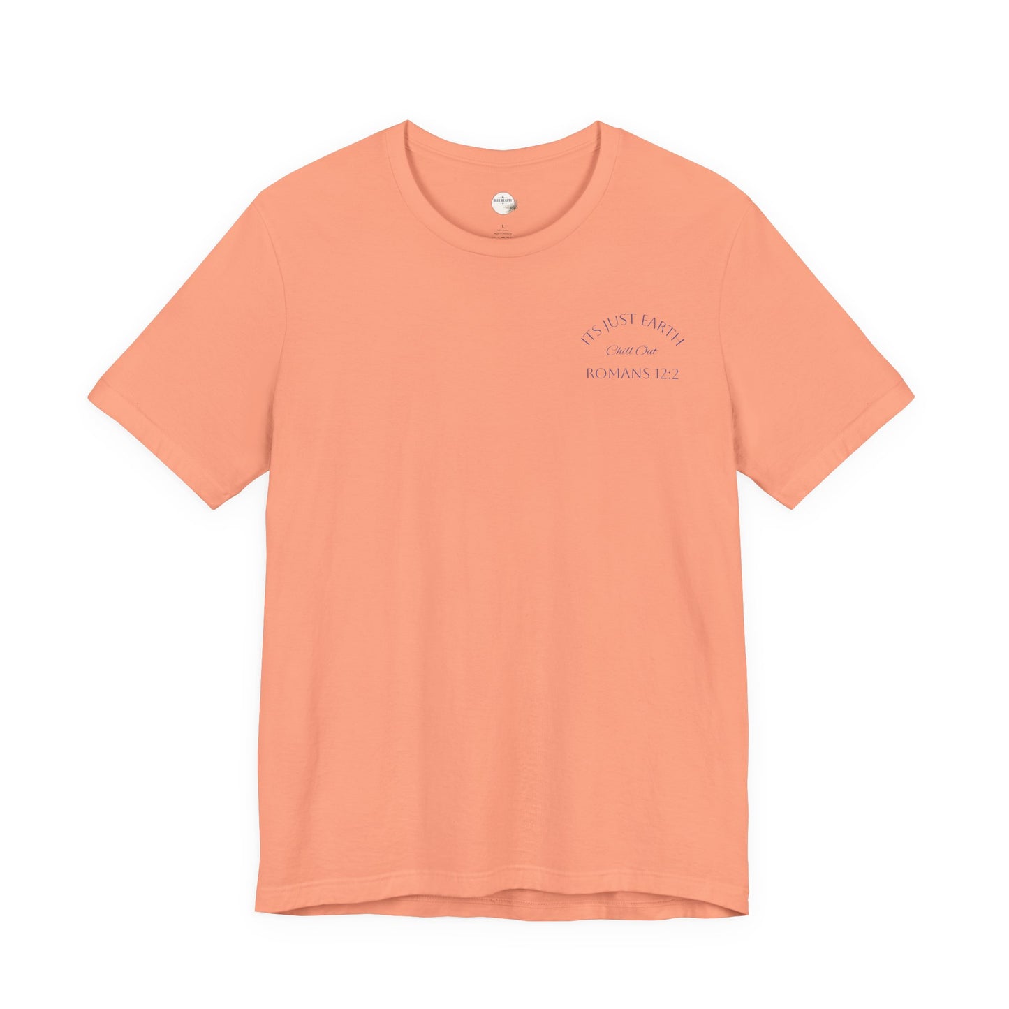 Columbia Blue- It’s Just Earth, Chill Out, Romans 12:2  Jersey Short Sleeve Tee