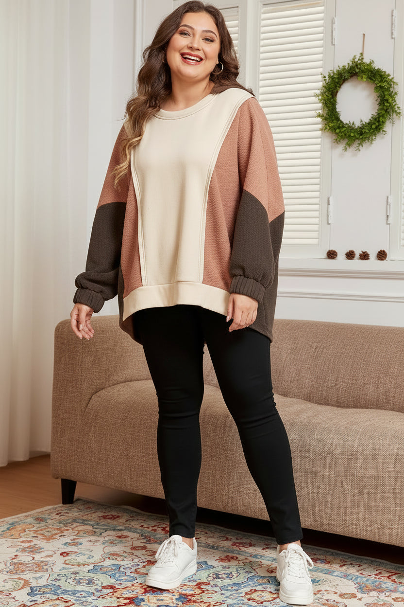 Brown Exposed Seam Colorblock Plus Size Hoodie