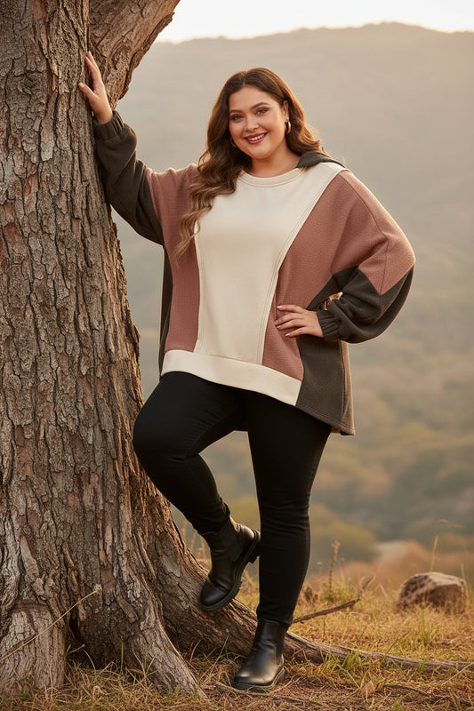 Brown Exposed Seam Colorblock Plus Size Hoodie